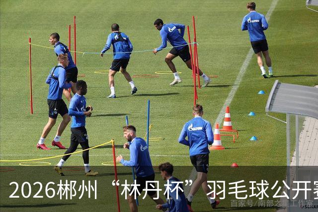 2026郴州“林丹杯”羽毛球公开赛开幕 11个国家和地区运动员参与角逐
